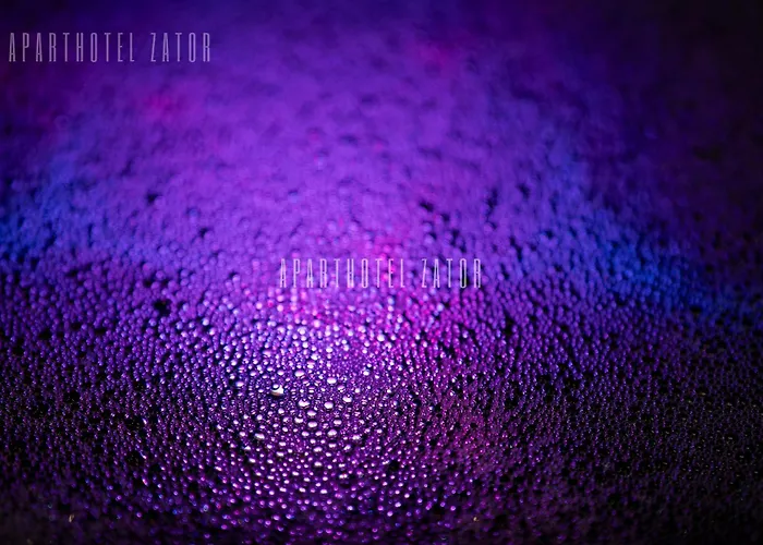 Industrial 58 Jacuzzi Appartement 4*